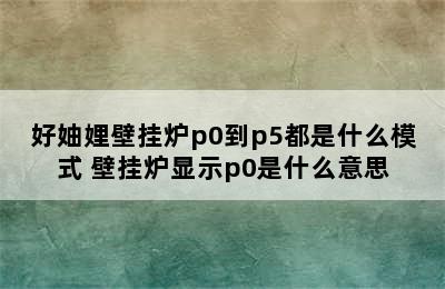 好妯娌壁挂炉p0到p5都是什么模式 壁挂炉显示p0是什么意思